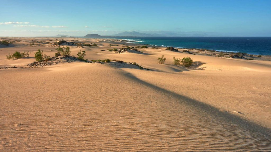 dunas de Corralejo