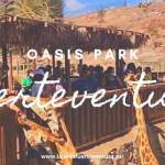 oasis park fuerteventura