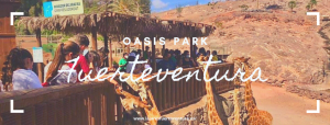 oasis park fuerteventura