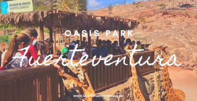 oasis park fuerteventura